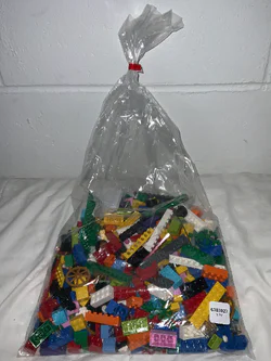 Miscellaneous Bricks polybag