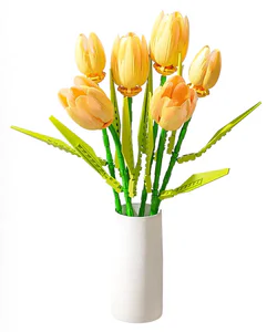 Plant log: Monnet tulips, two radiant whispers, moonlight princess