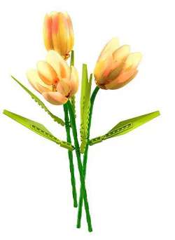 Plant log: Mona Tulip 2 love and dream, elves gloom