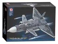 J-20 COMBAT AIRCRAFT