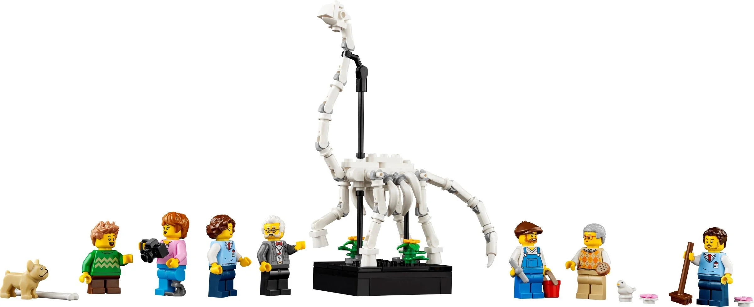 Natural History Museum 无牌 63210 image 8