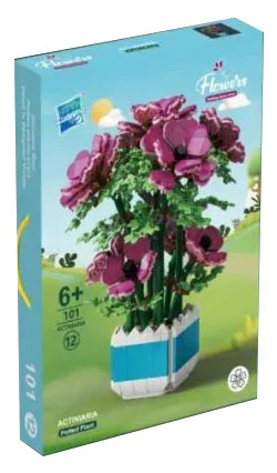 Pink anemone 钻马Zuanma 101-12