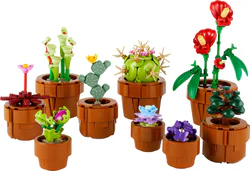 Mini plant