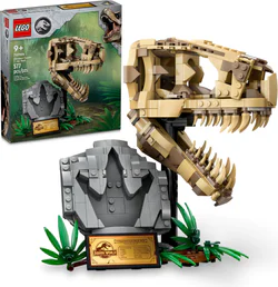 Dinosaur fossils: Dragon skull
