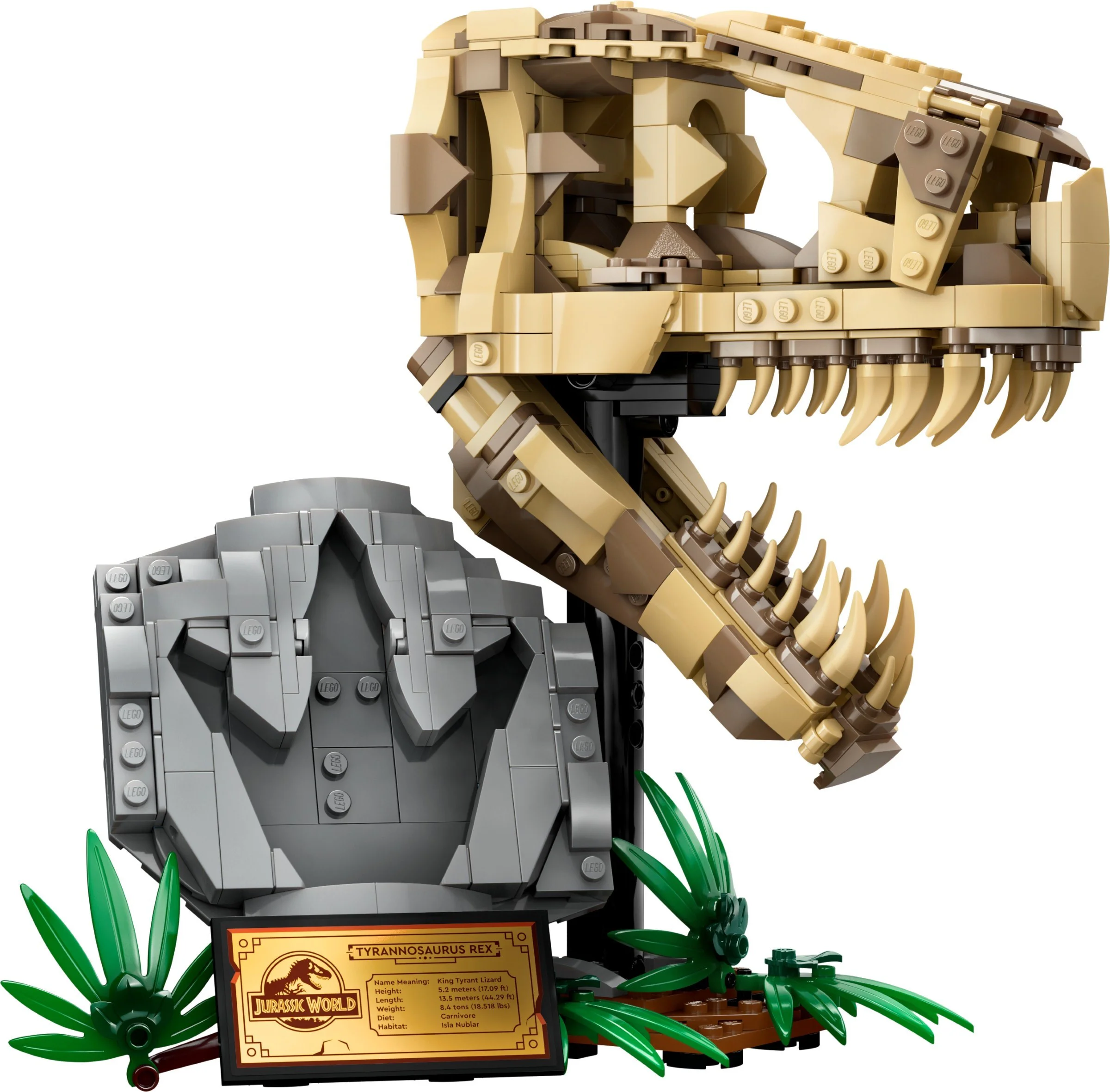 Dinosaur fossils: Dragon skull 乐高 LEGO 76964 image 1