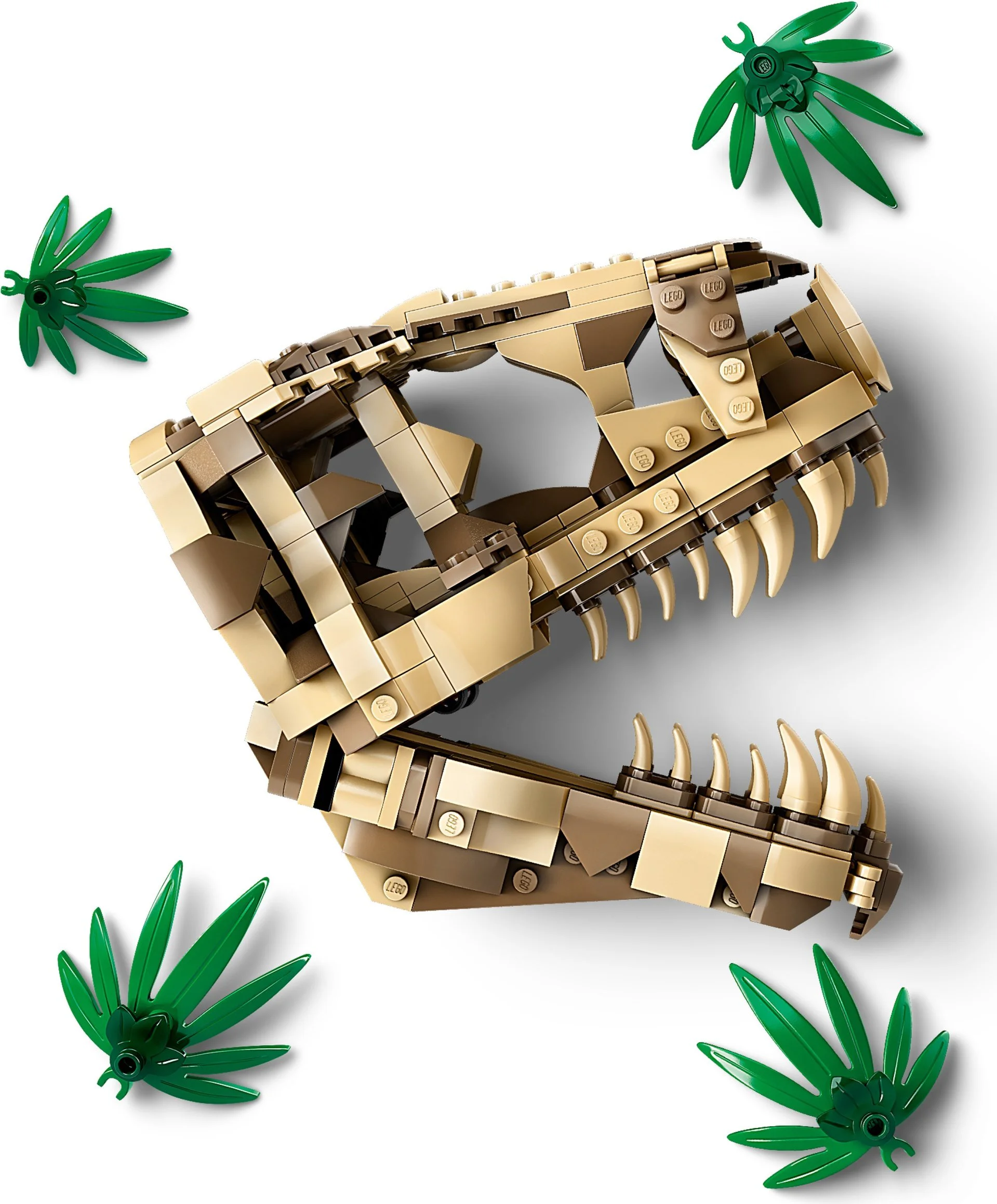 Dinosaur fossils: Dragon skull 乐高 LEGO 76964 image 2