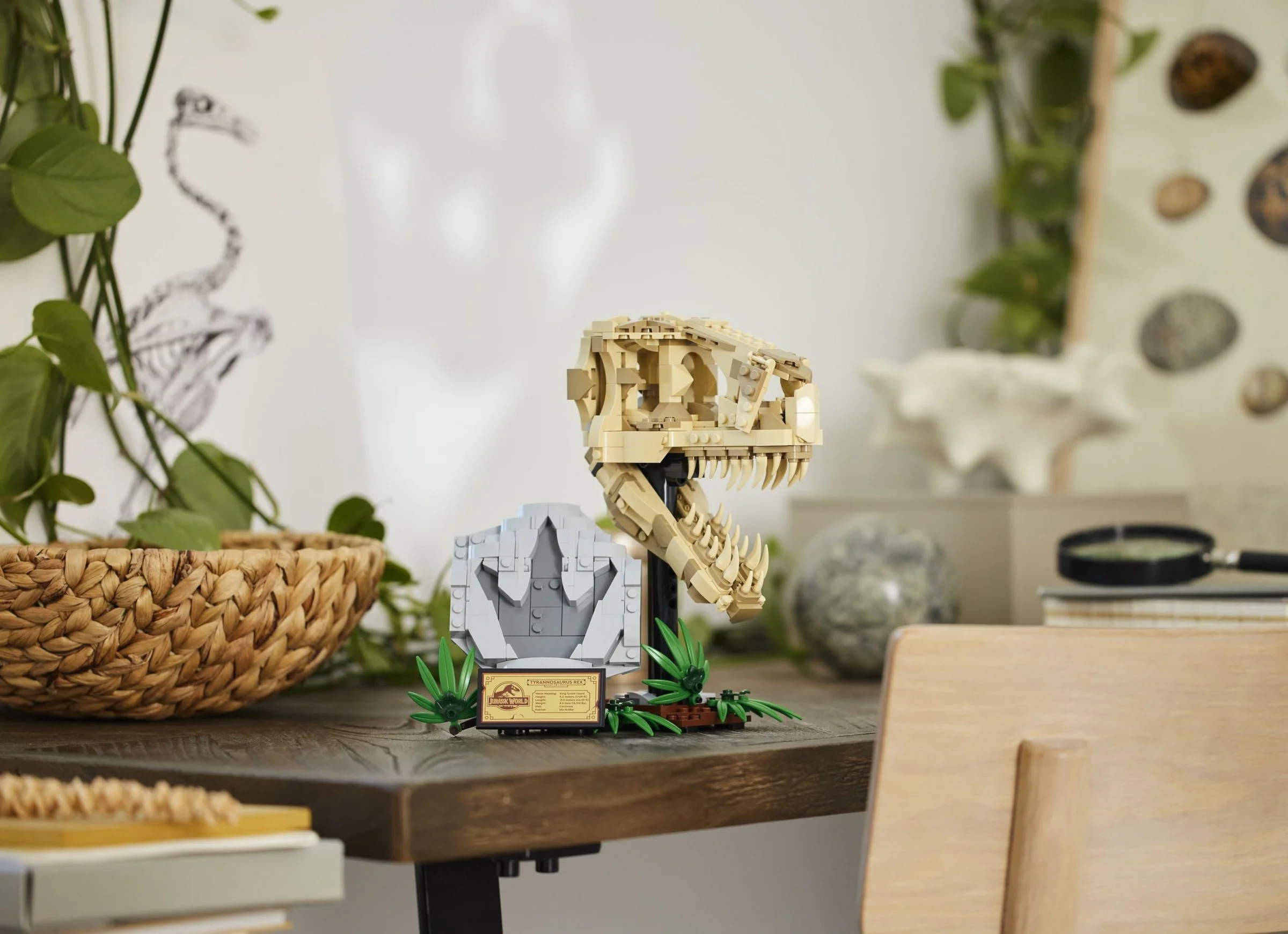 Dinosaur fossils: Dragon skull 乐高 LEGO 76964 image 7