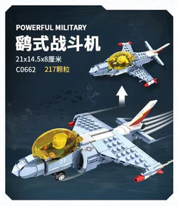 Combat aircraft