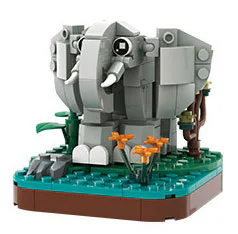 Wonder Animal: Elephants