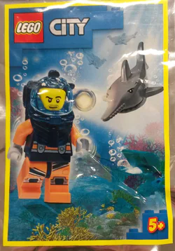 The divers and the sawnfish