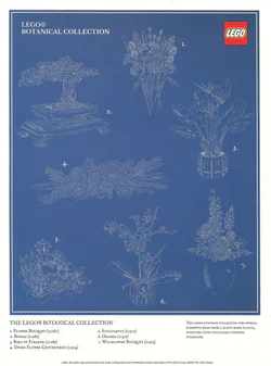 Posters: flowers