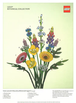 Wildflower poster