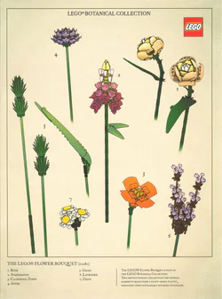 Posters: flowers