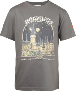 T-shirt: Harry Potter T-Shirt Gray
