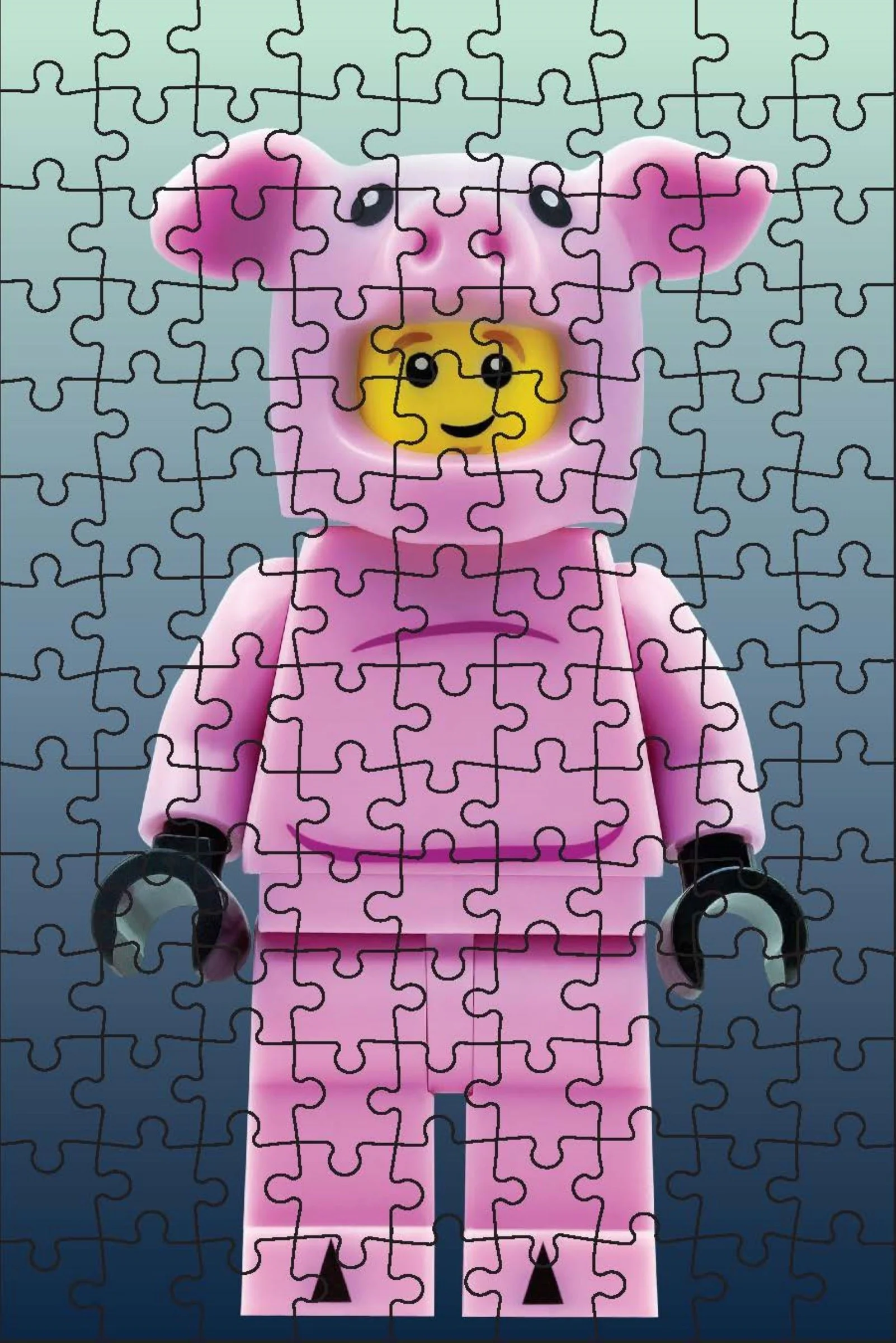 Puzzle: Mini-Package 乐高 LEGO 5008129 image 3