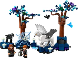 The Forbidden Forest Wonder
