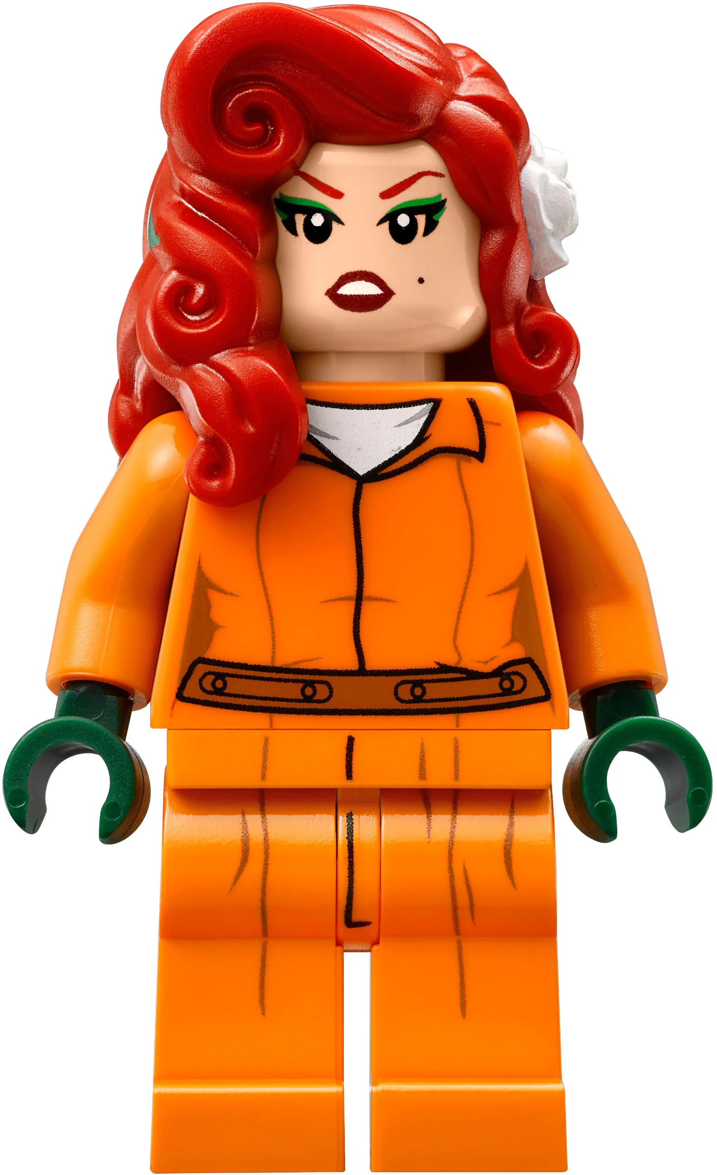 Arkham Asylum 10741 image 12