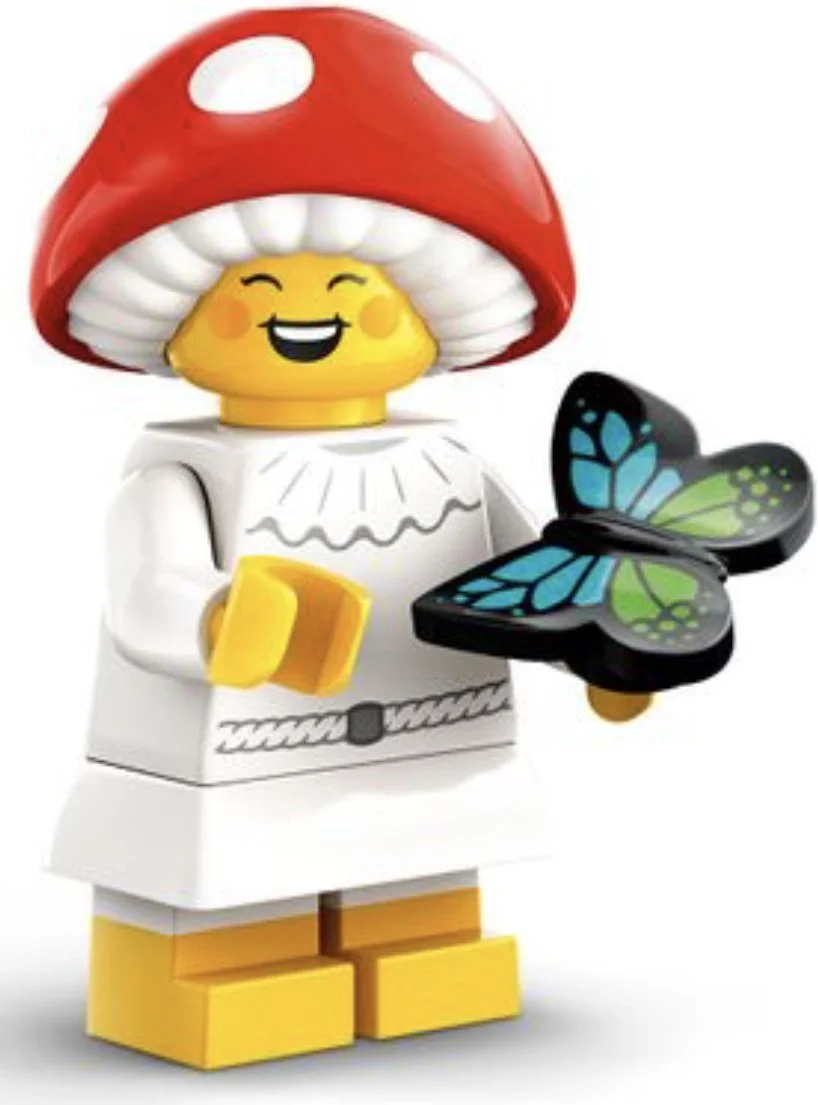 ♪ I'm going to play ♪ 乐高 LEGO 71045 image 17