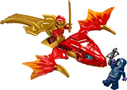 Kai's Flying Dragons