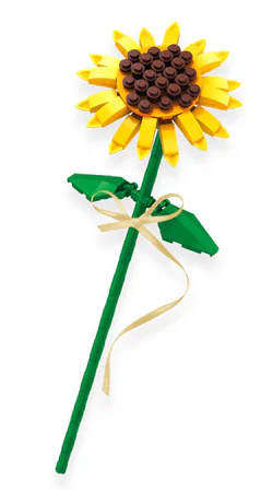 Plankton: Sunflower
