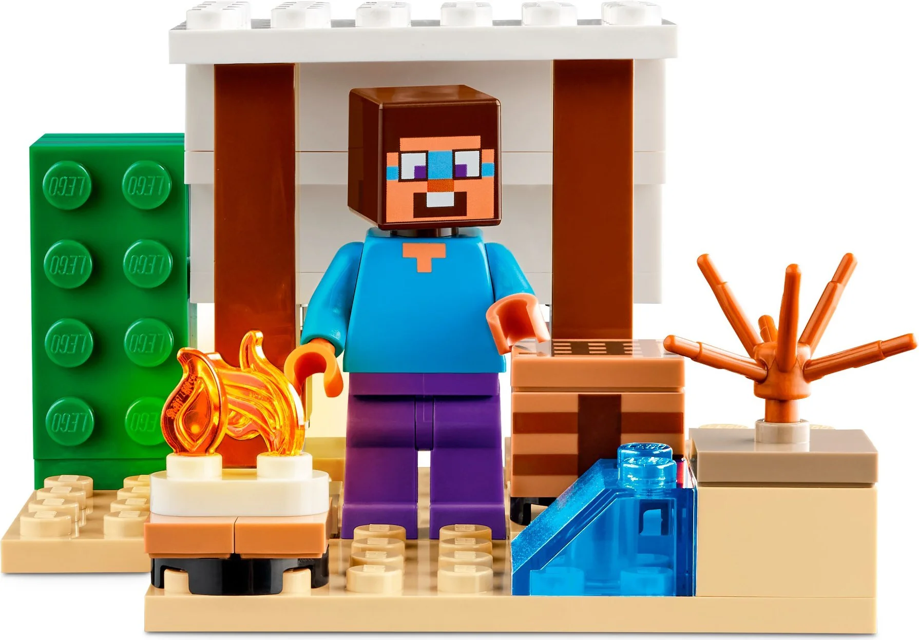 Steve Desert Expedition 乐高 LEGO 21251 image 3