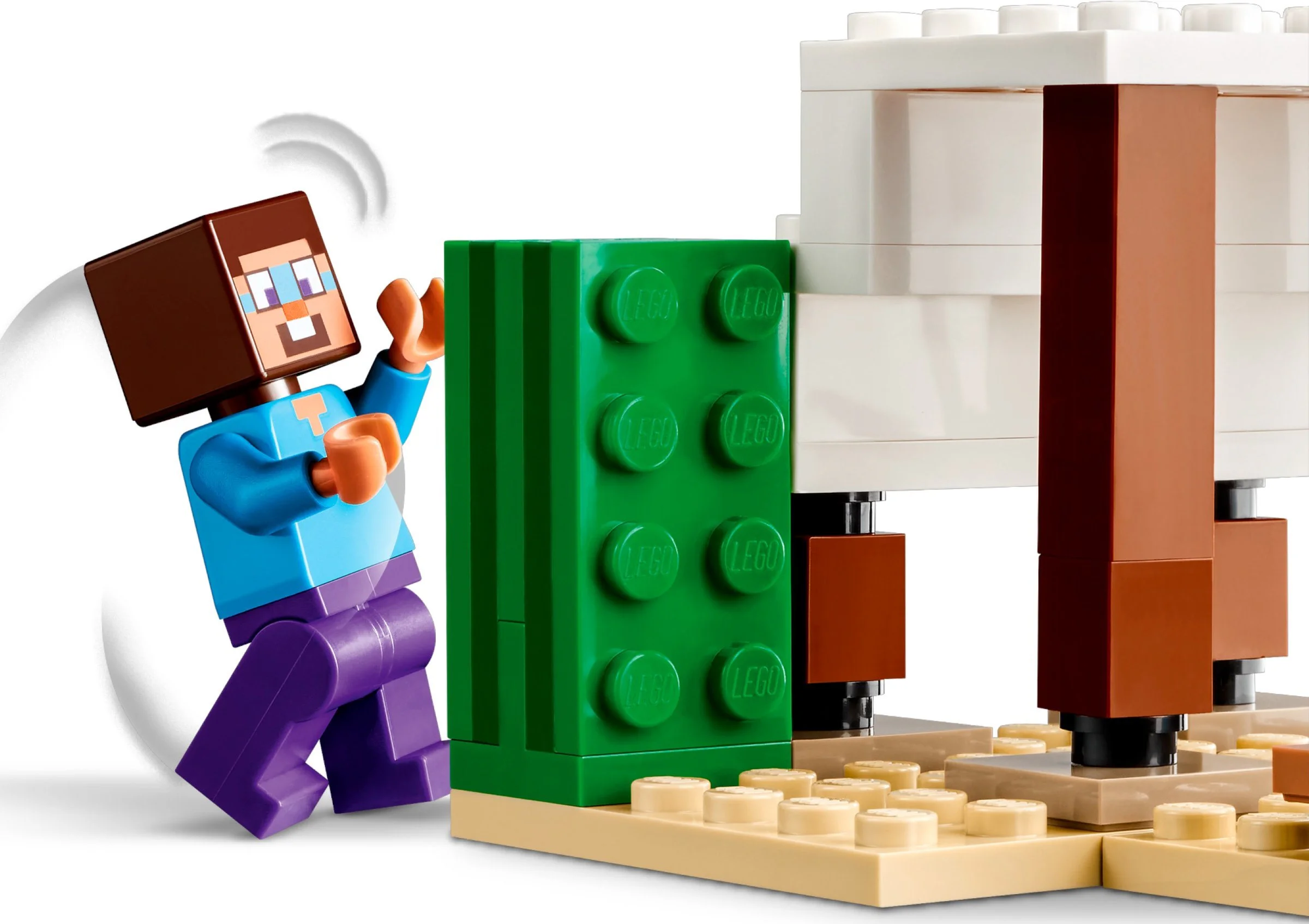 Steve Desert Expedition 乐高 LEGO 21251 image 5