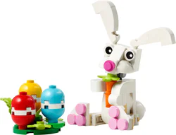 Eggs Easter Bunny