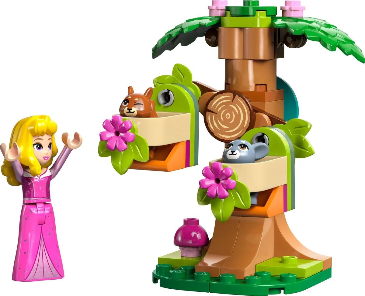 Sleeping with the beautiful Aurora Forest 乐高 LEGO 30671
