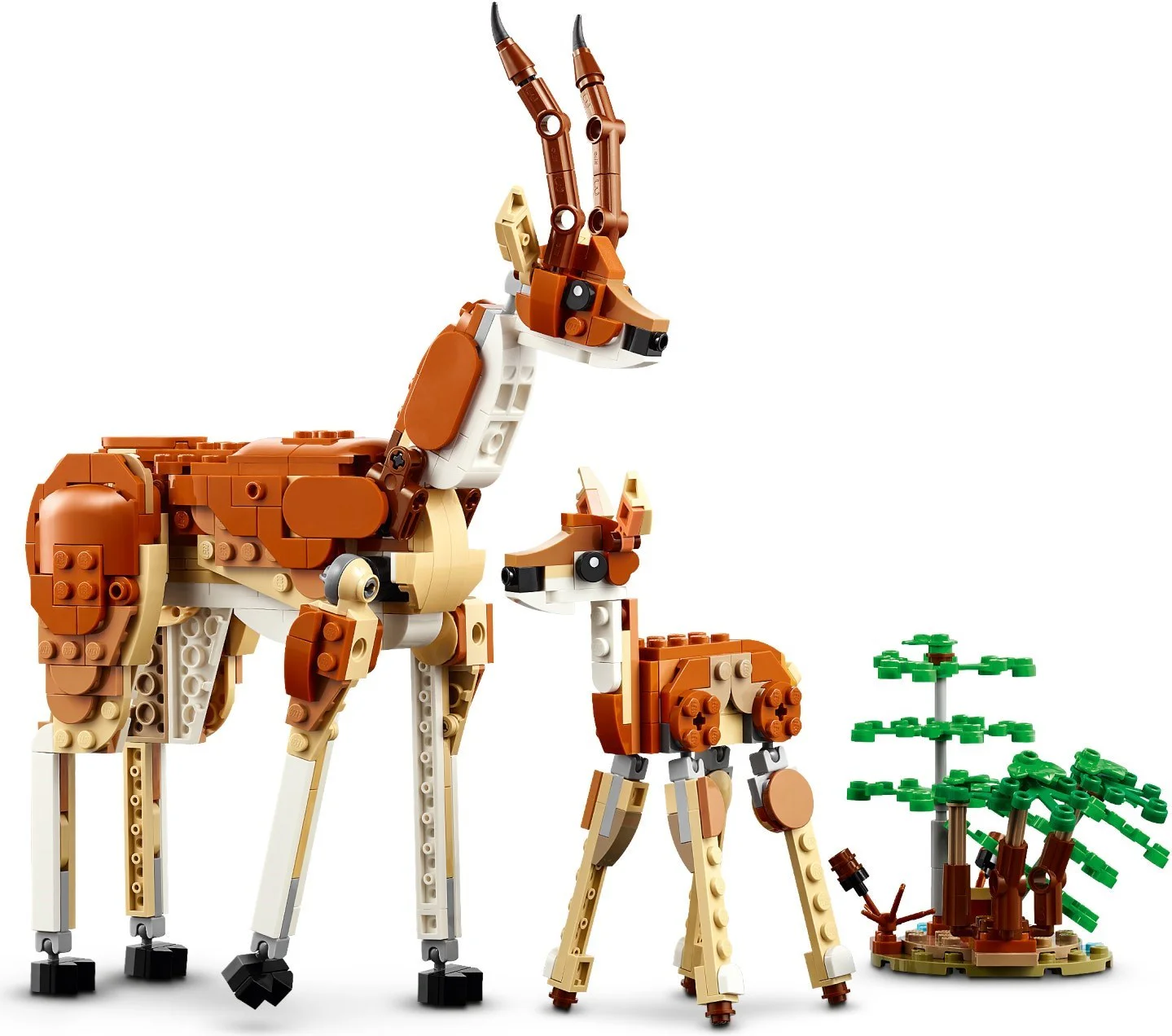 Wildlife 乐高 LEGO 31150 image 6