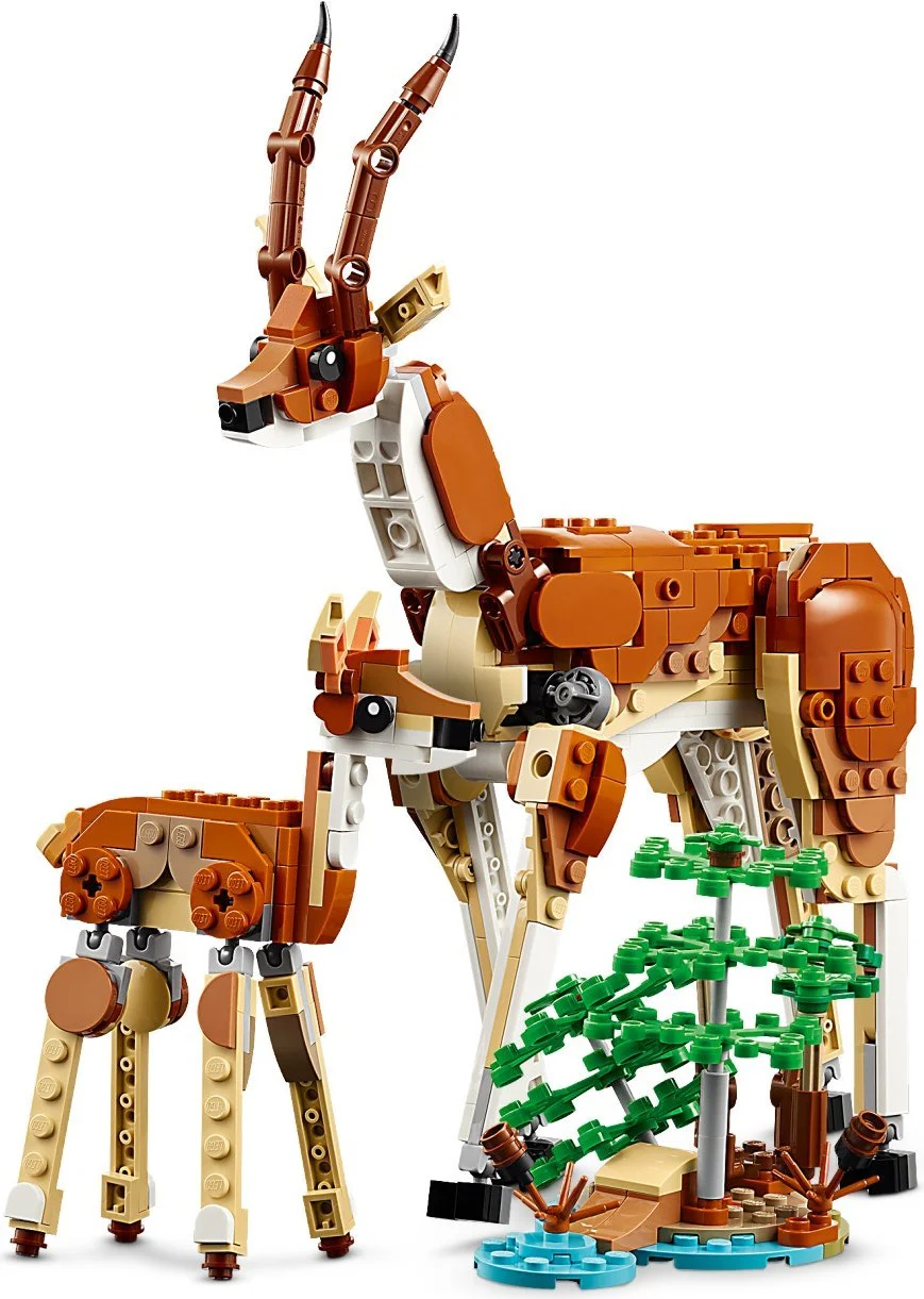 Wildlife 乐高 LEGO 31150 image 8
