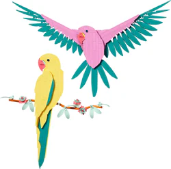 Animal series - parrots