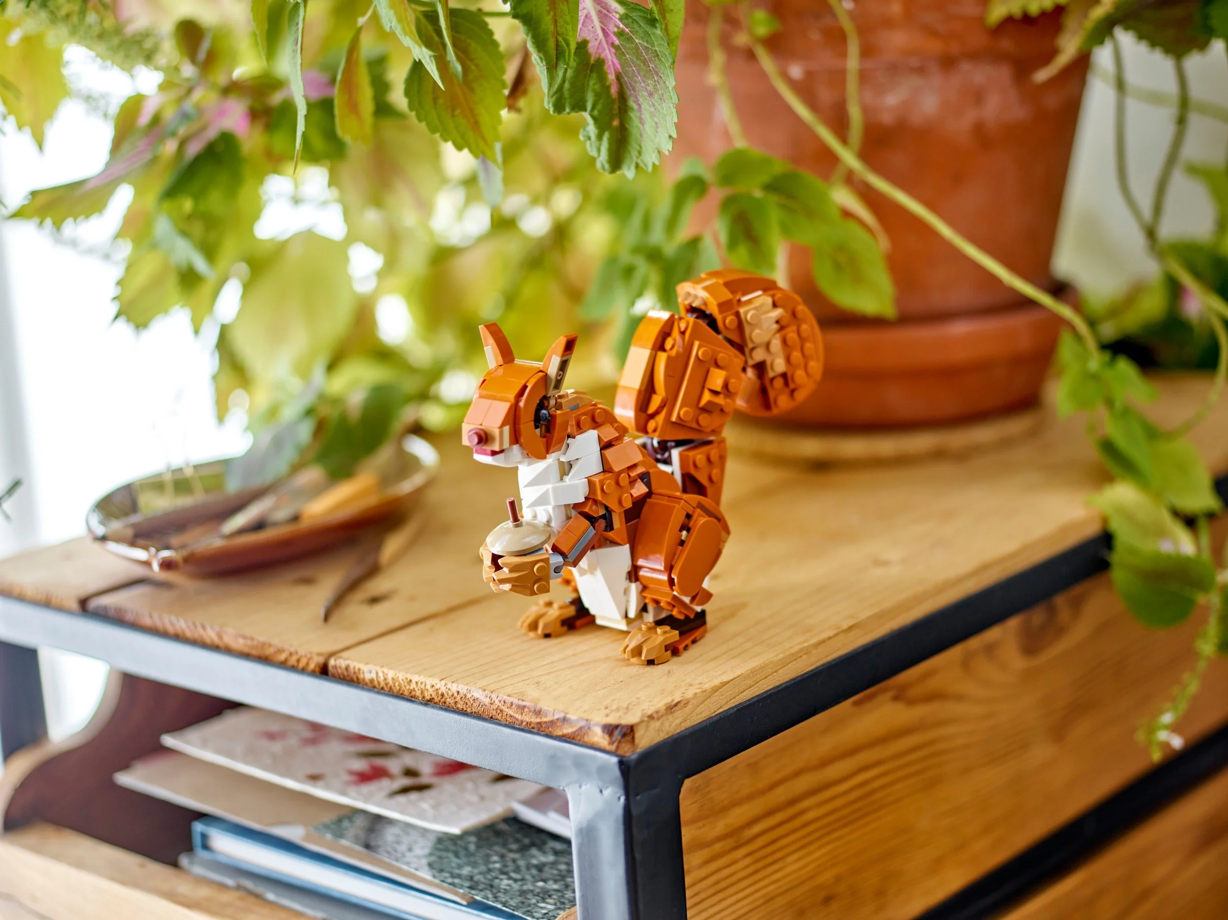 Forest animal: Red fox 乐高 LEGO 31154 image 8