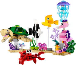 Marine animals