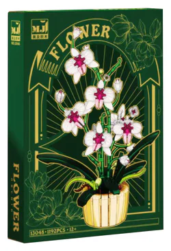 Orchid