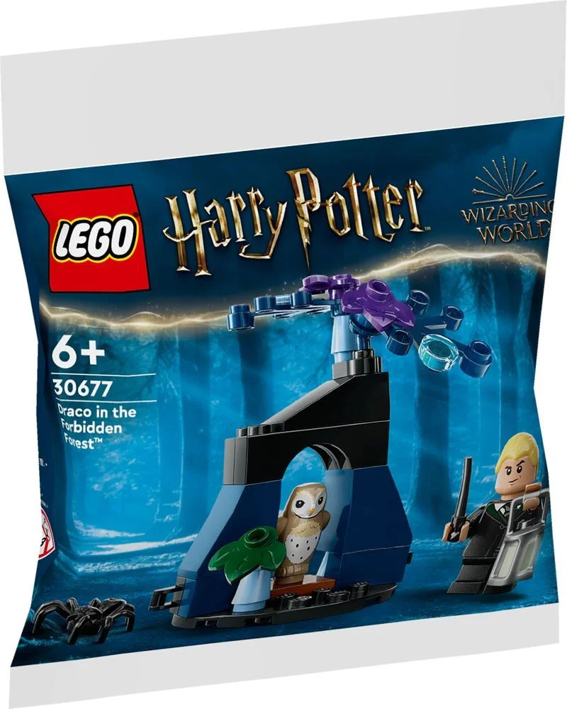 Draco of the Forbidden Forest 乐高 LEGO 30677 image 1