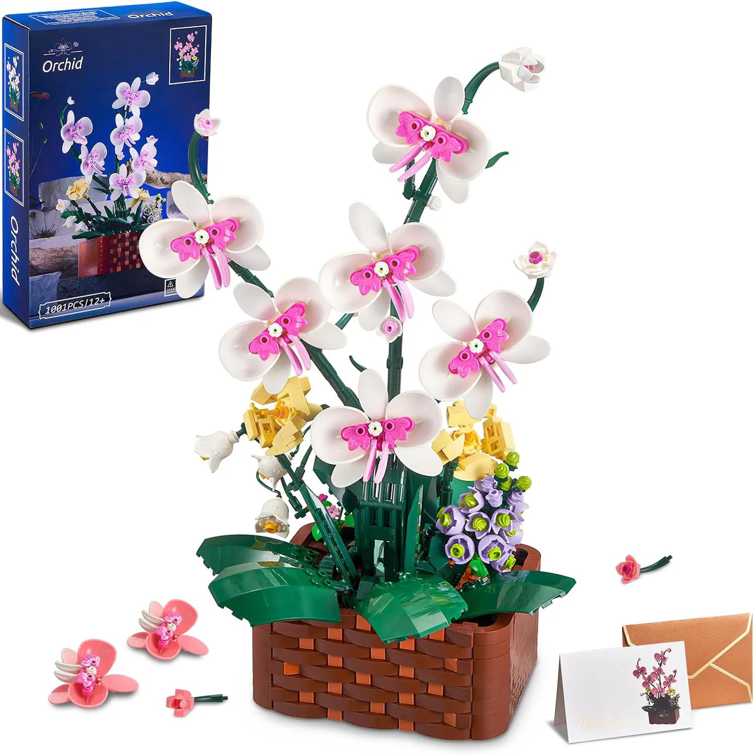 Orchid 无牌 92202