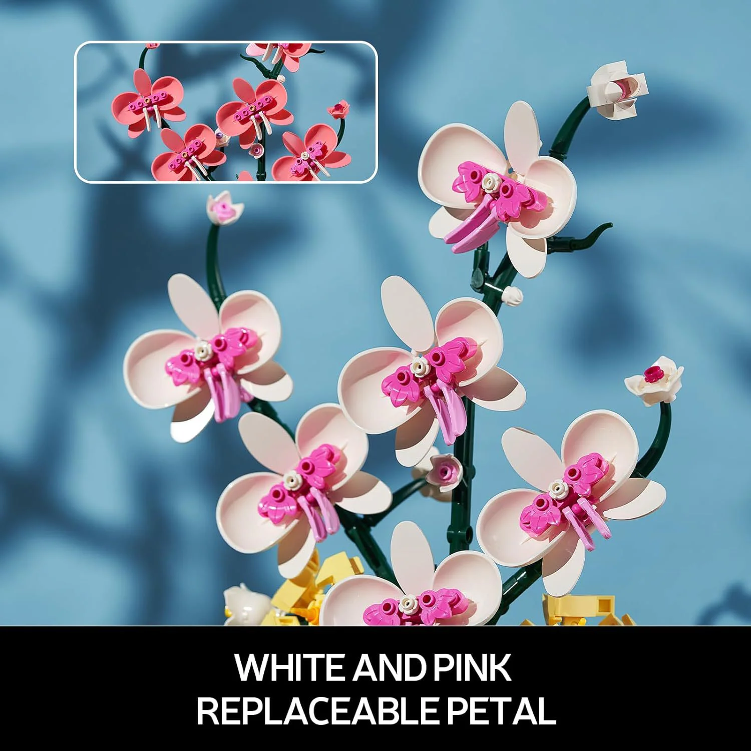 Orchid 无牌 92202 image 2