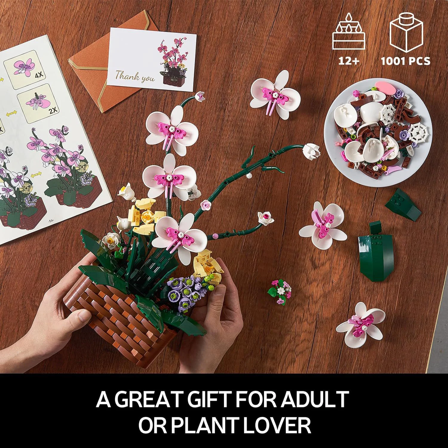 Orchid 无牌 92202 image 3