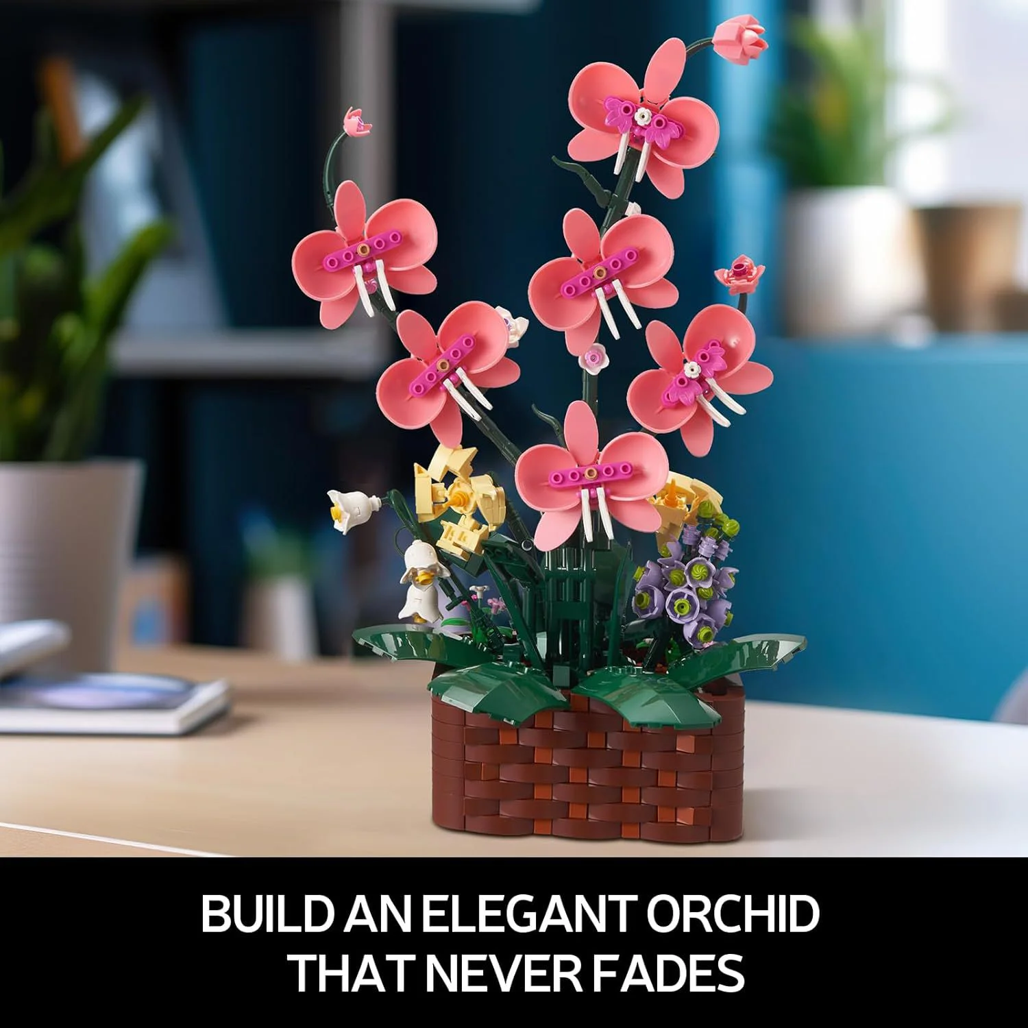 Orchid 无牌 92202 image 5