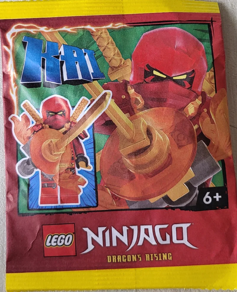 Kay 乐高 LEGO 892405