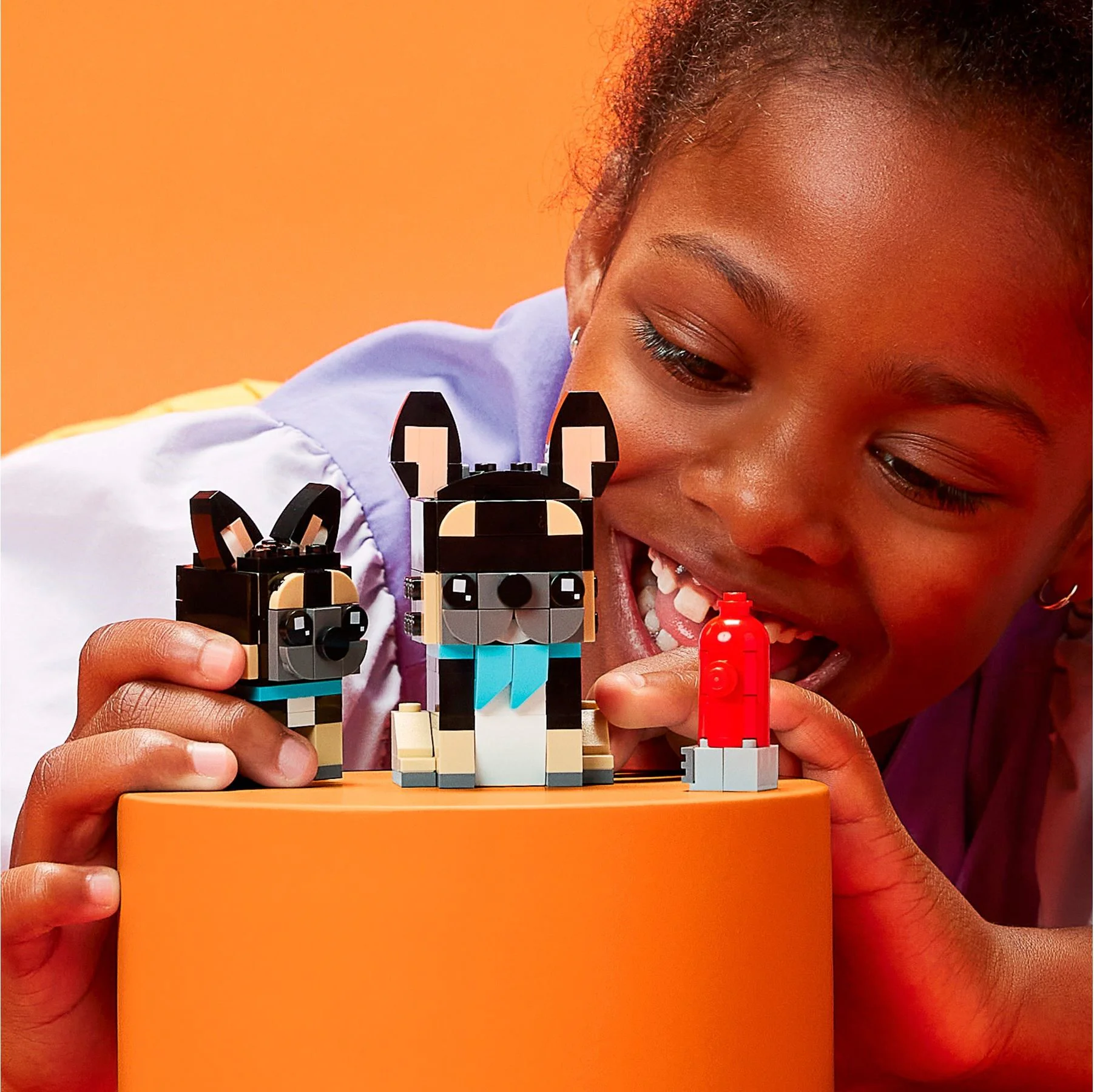 French bulldogs 乐高 LEGO 40544 image 5