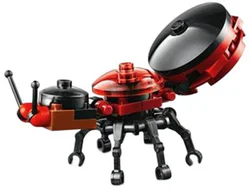 Ant