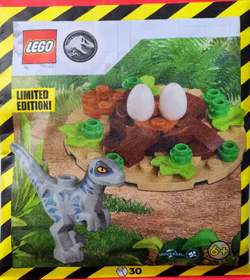The nest of the Raptor