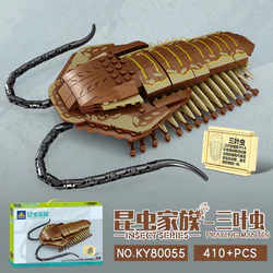 Insect family: trileaf