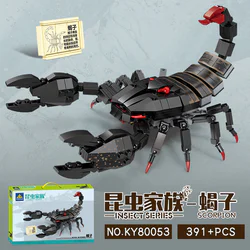 Insect family: Scorpion
