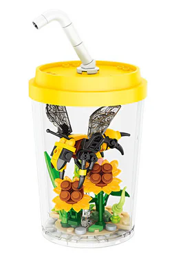 Insect Observation Diaries: Bees
