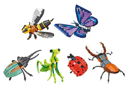 Insects