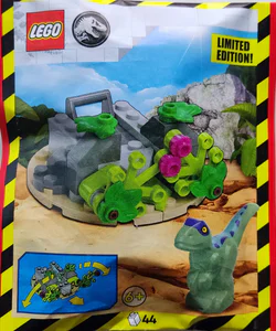 Raptor and lair