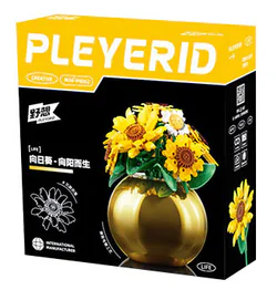 Sunflowers, sunflowers, lumbers
