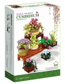 Orchid plant